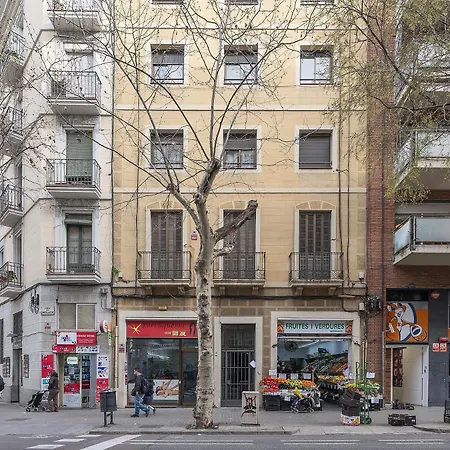 Ola Living Consell De Cent *