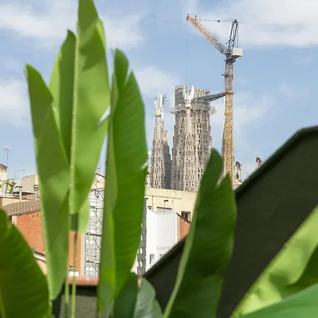 Ola Living Consell De Cent Barcellona